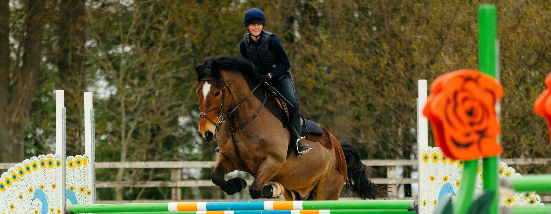 Equine banner Equine student showjumping outdoor arena