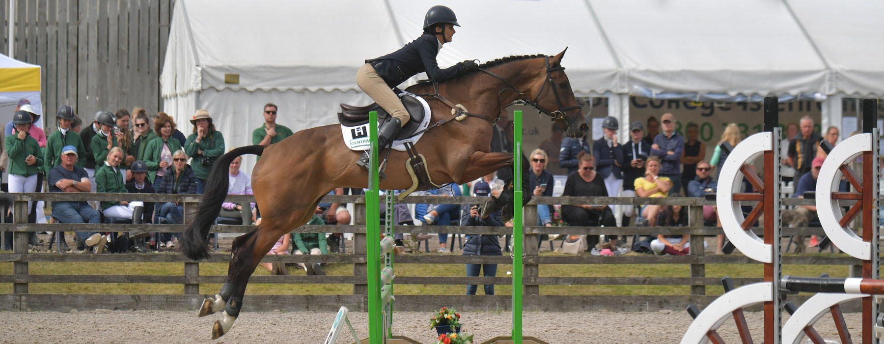 Showjumping at Bishop Burton Equine Centre