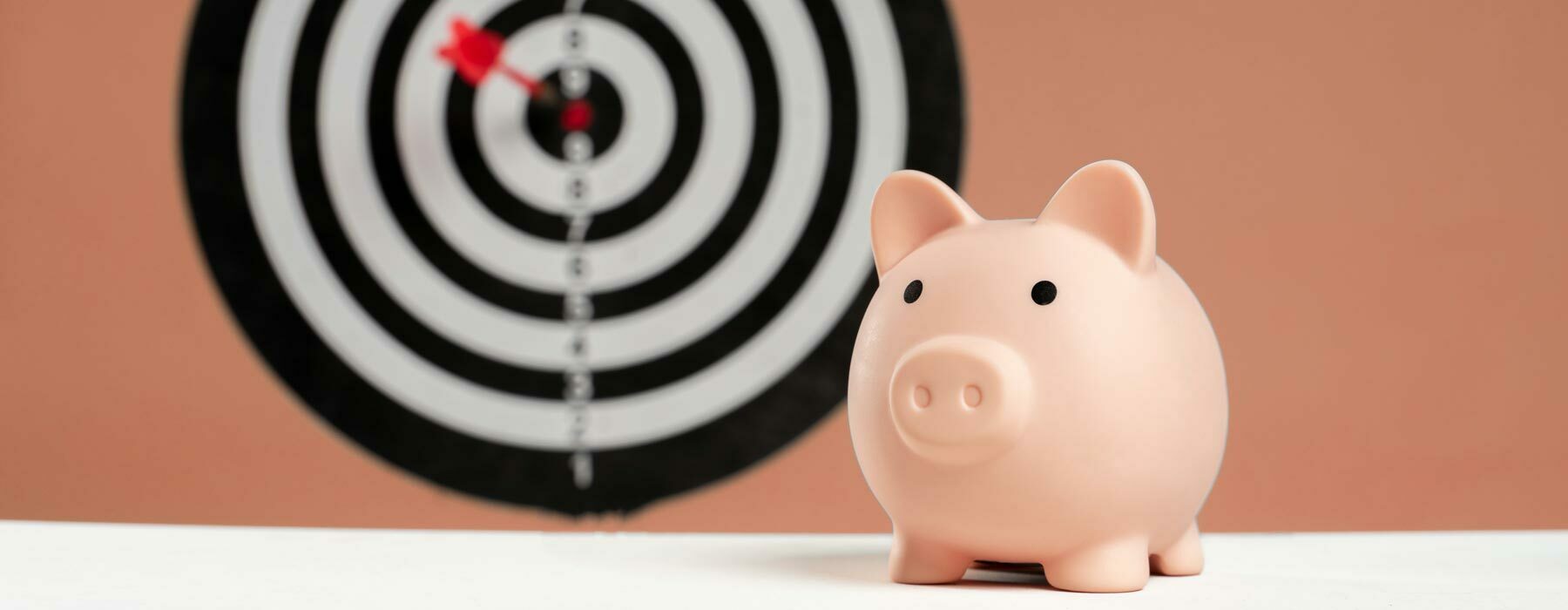 Fees and Finance Piggy bank in front of dart board showing target